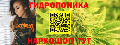 каннабис Новодвинск