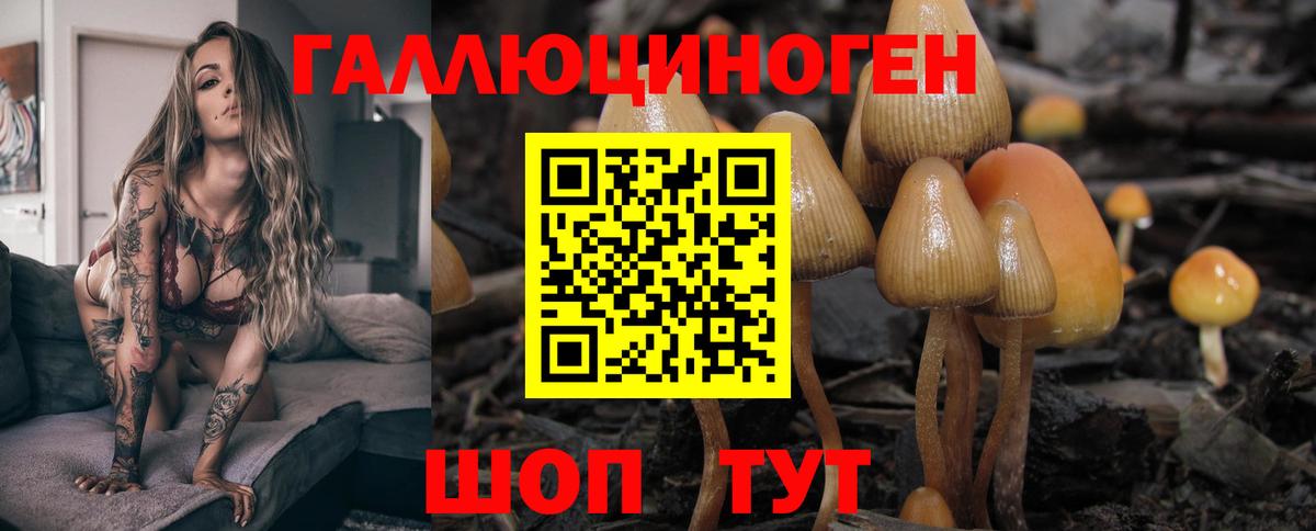 Псилоцибиновые грибы ЛСД Шатура
