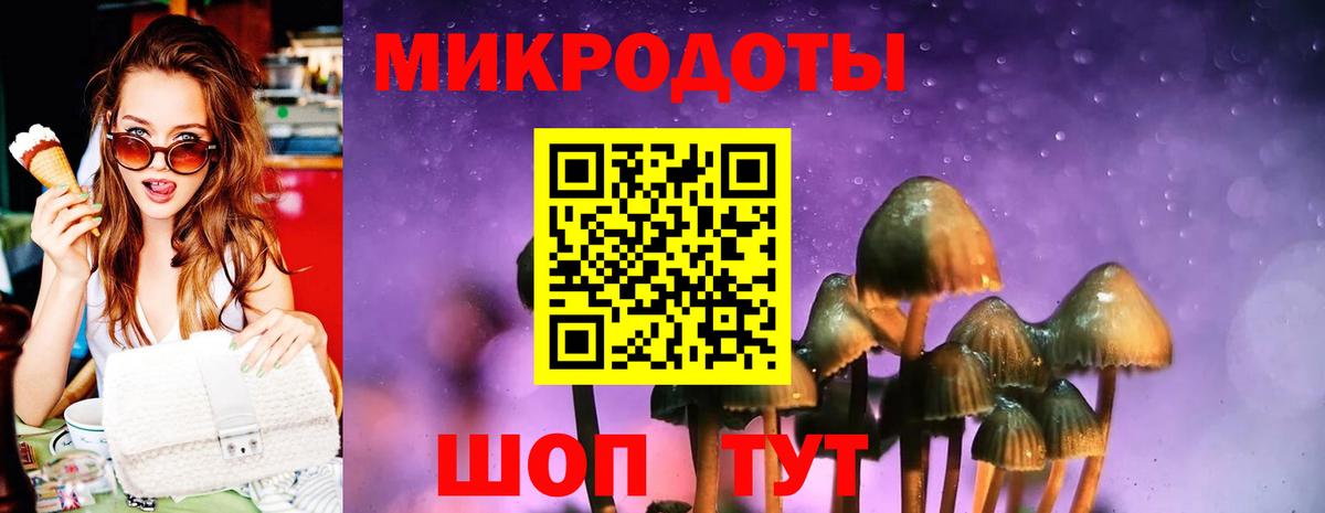 Галлюциногенные грибы Psilocybine cubensis  Вход с VPN  Шатура 